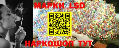 индика Шелехов
