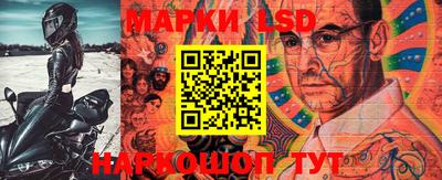 индика Шелехов