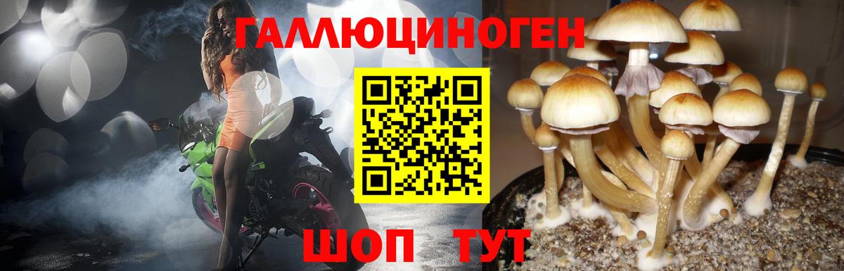 Верхняя Салда  Псилоцибиновые грибы мухоморы  Вход с VPN 